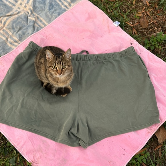 NWT Terra & Sky Green Knit Shorts Elastic Drawstring Waist Sweats 4X (28W-30W) - Picture 13 of 16